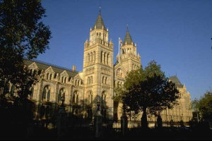 NHM Roofs